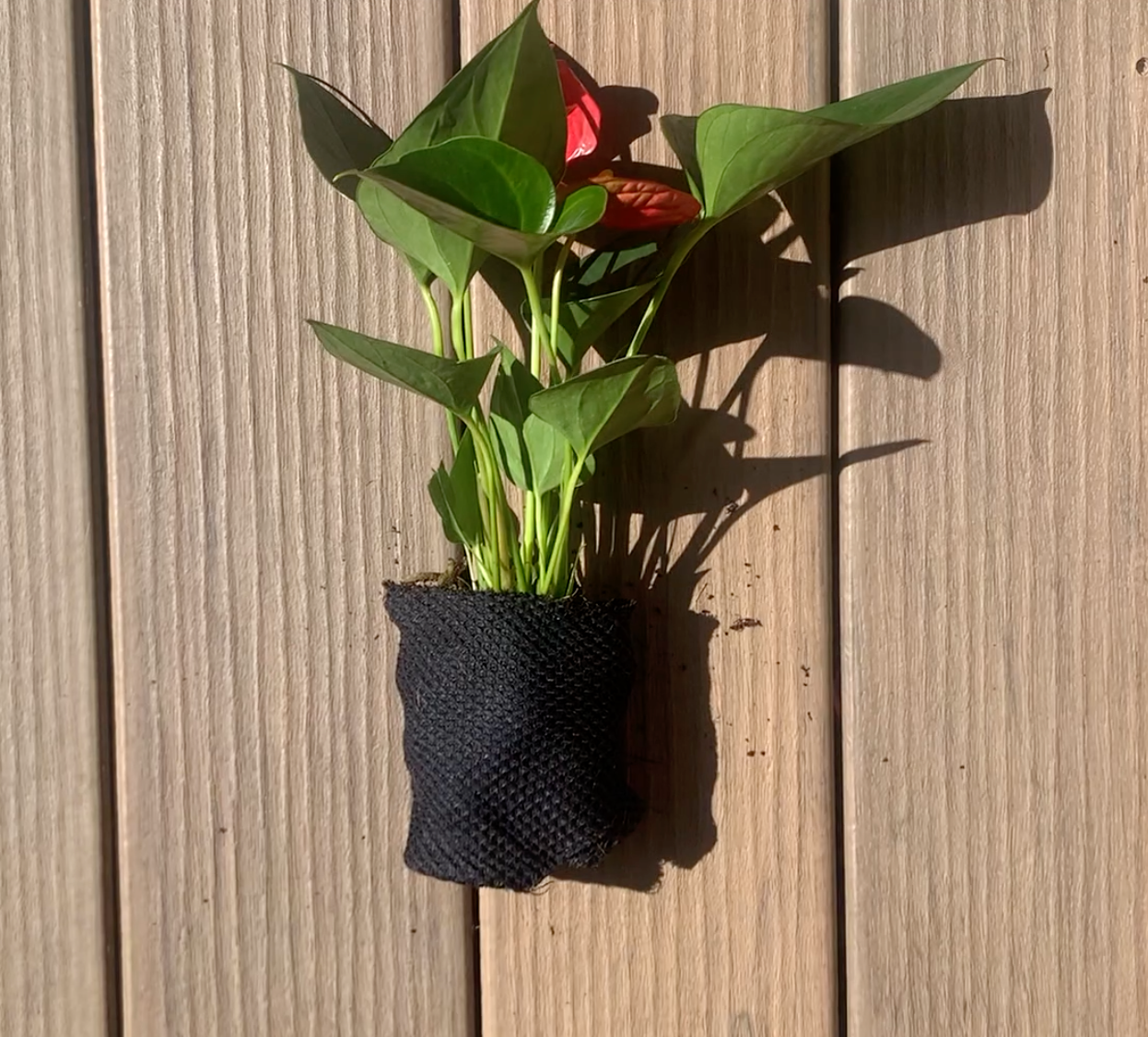 Growmeo Wicking Wrap